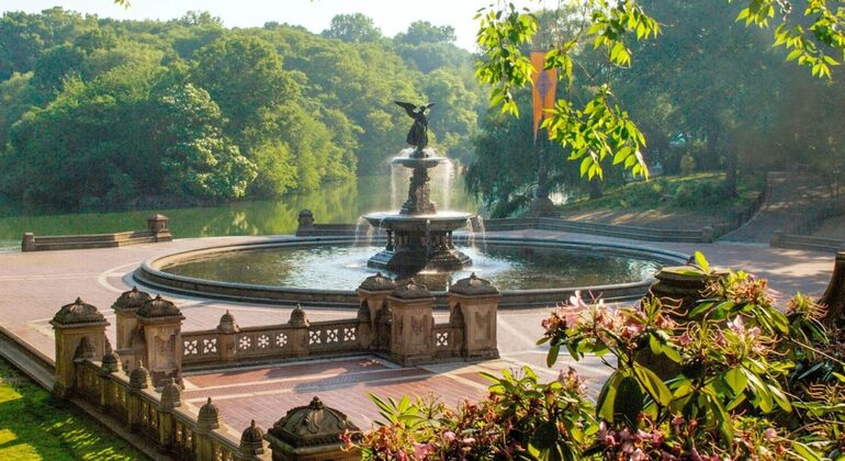 Central Park Free Walking Tour & Landschaftsgestaltung Bereitgestellt von TERRADVENTOURS