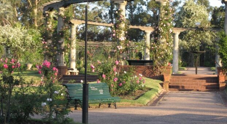 El Prado - Visite gratuite du quartier des jardins Fournie par Matias Leivas