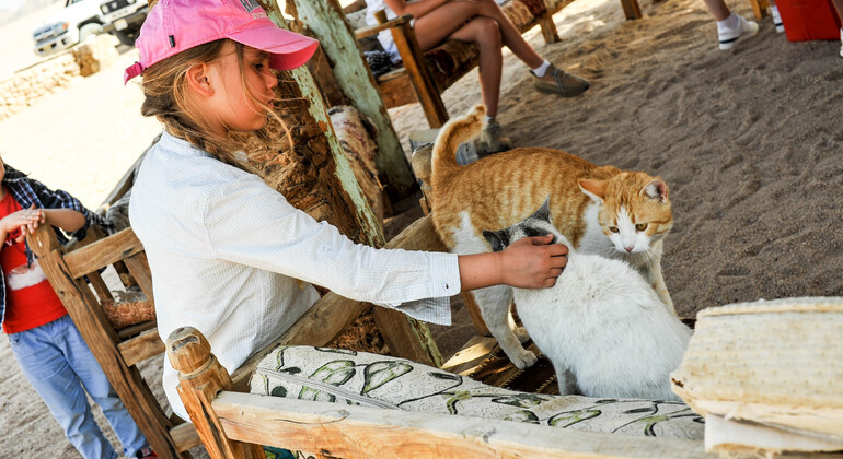 Jeep Safari & BBQ im alten Beduinendorf Ägypten — #12