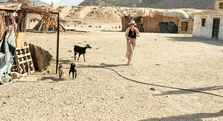 Jeep Safari & BBQ im alten Beduinendorf Ägypten — #15