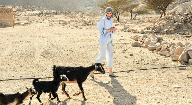 Jeep Safari & BBQ im alten Beduinendorf Ägypten — #16