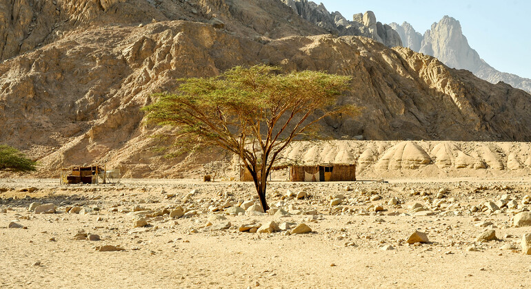 Jeep Safari & BBQ im alten Beduinendorf Ägypten — #19