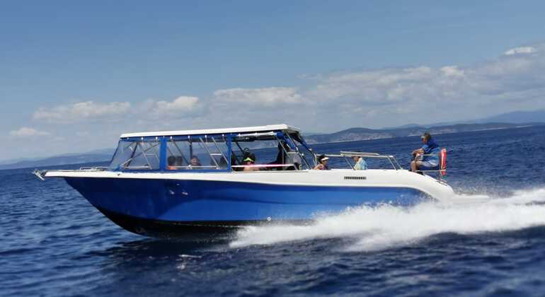 Blue Cave and Hvar Tour from Split Provided by Split Daily Tours