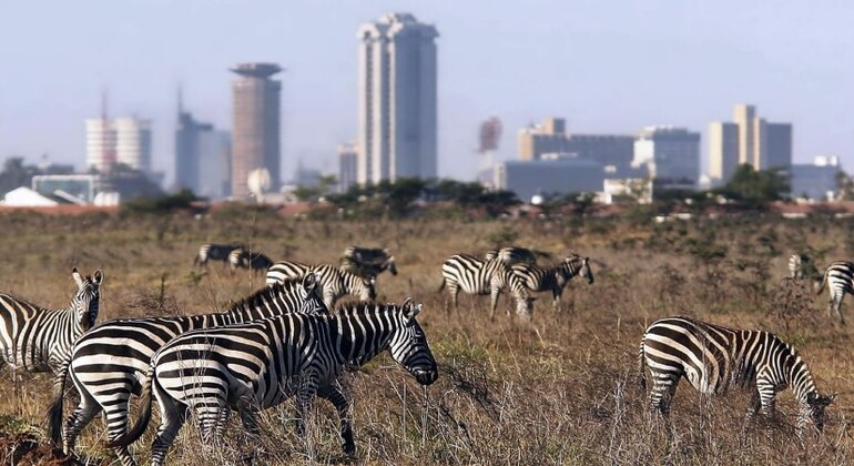 Nationalpark in der Stadt Kenia — #2