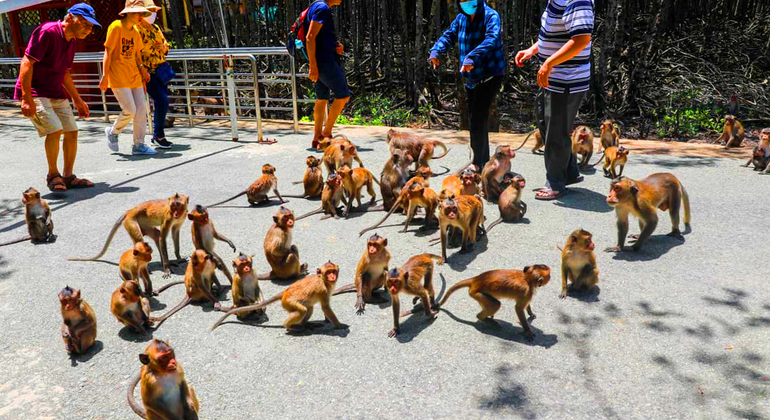 can-gio-tour-in-one-day-es-4