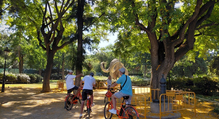 Barcelona Free Bike Tour : Les 20 sites les plus visités Espagne &mdash; #24