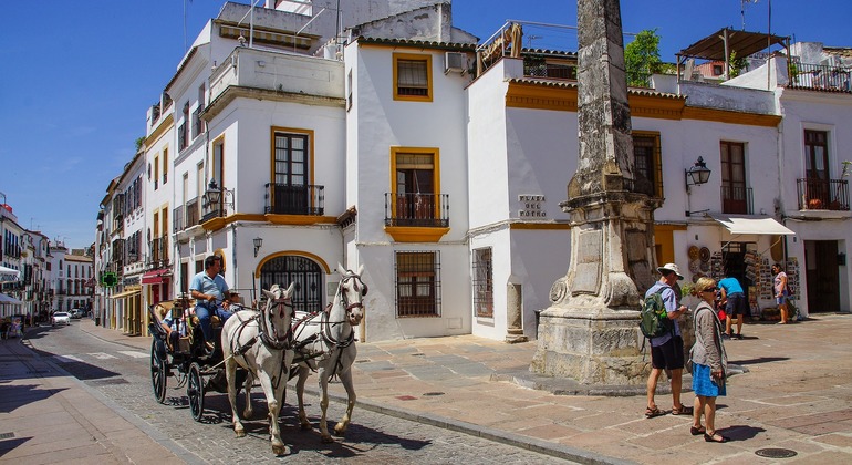 free-tour-secretos-de-la-axerquia-de-cordoba-es-5
