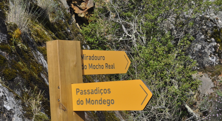 Mondego Walkways: Geschichten aus einem Rinnsal von Wasser, Portugal