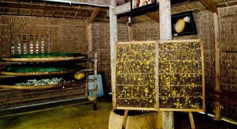 Discover Silk Process in Hoi An Silk Village