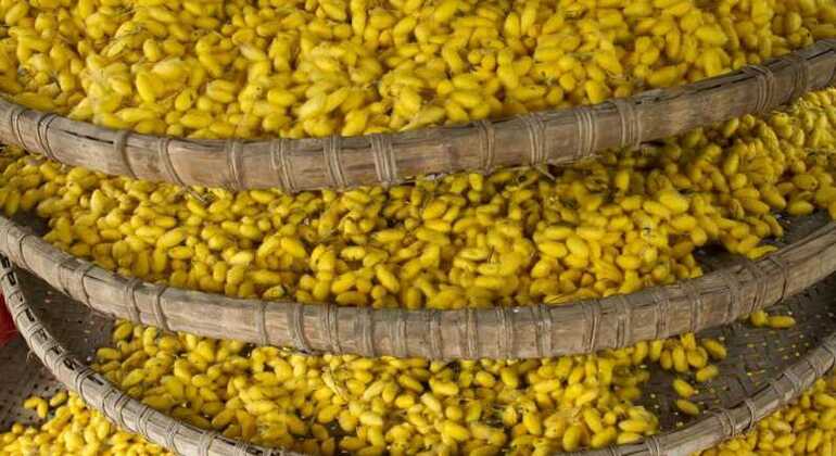 Discover Silk Process in Hoi An Silk Village Vietnam — #5