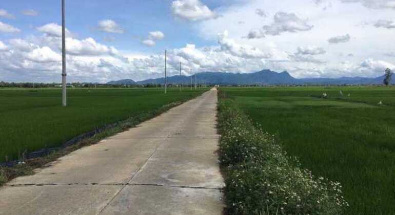 Visita guiada ao campo em mota Vietname — #2