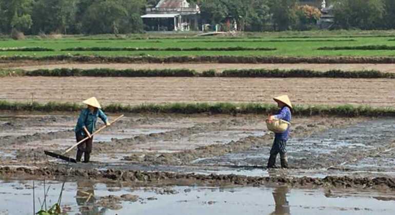 Visita guiada ao campo em mota Vietname — #5