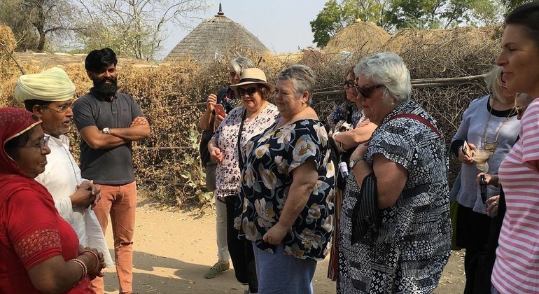 Visita turística de Delhi de día completo con guía privado