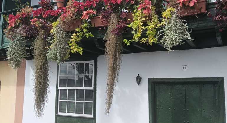 Free-Tour-Santa-Cruz-de-La-Palma-21