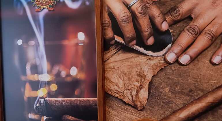 Free-Tour-Santa-Cruz-de-La-Palma-22