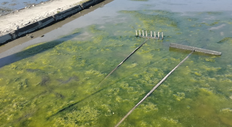 Excursión gratuita a las Salinas: Para los amantes de la mañana Portugal &mdash; #3