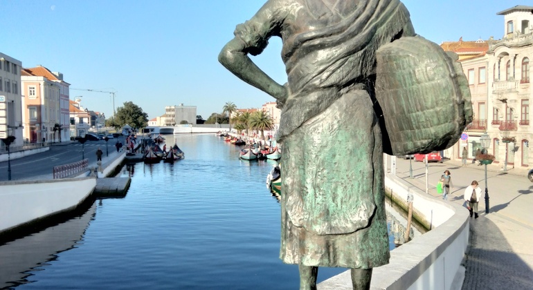 Excursión gratuita a las Salinas: Para los amantes de la mañana Portugal &mdash; #4