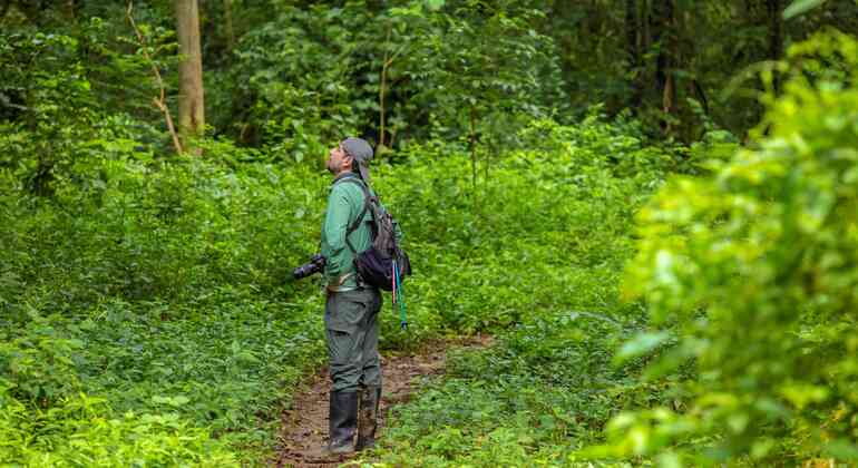 Randonnée sur le sentier Hurlant