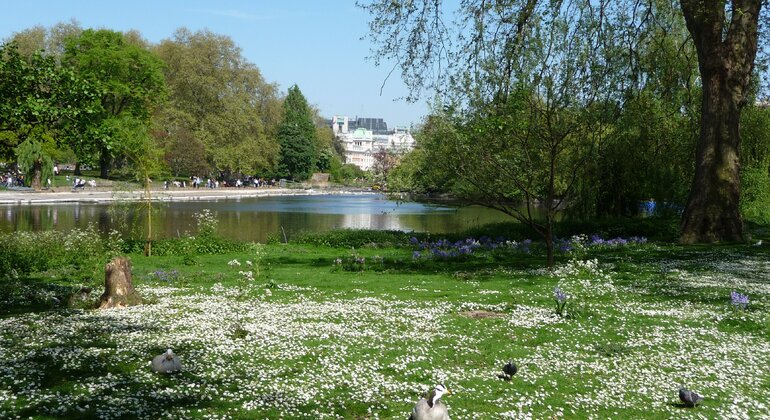 private-tour-of-london-for-six-hours-in-spanish-es-8