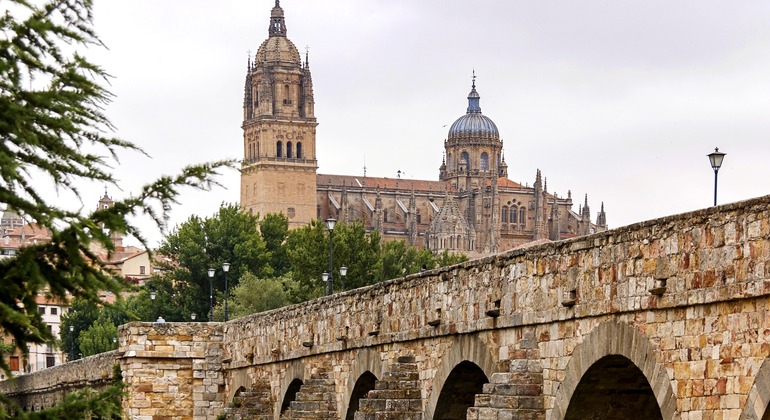 Visita privada a Salamanca durante 6 horas Organizado por Paseando por Europa S.L