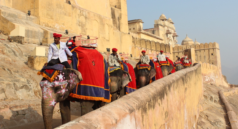 Golden Triangle Tour 3 Days Provided by Peer Voyages