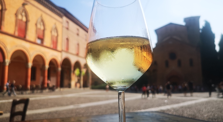 visite à pied de 2 heures dans le centre de Bologne, consacrée au vin Fournie par Bologna Wine