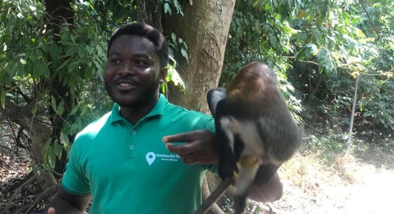 3 jours d'expérience à Afadjato et aux chutes d'eau de Wli. Ghana — #2