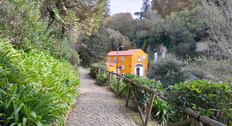 Scoprire Sintra a piedi e breve escursione al Palazzo di Pena Portogallo &mdash; #6