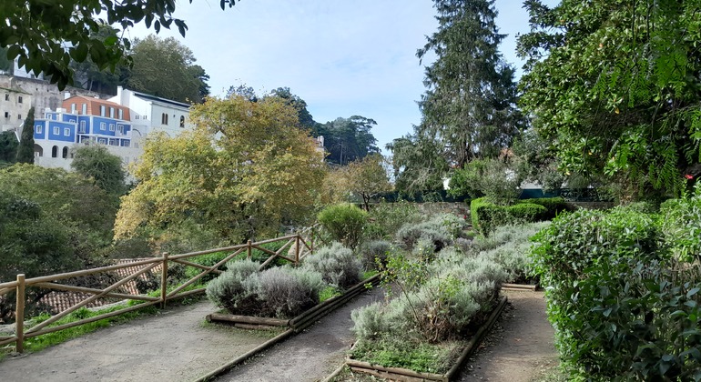 Scoprire Sintra a piedi e breve escursione al Palazzo di Pena Portogallo &mdash; #7