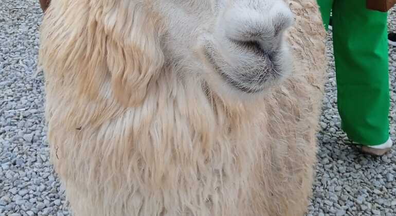 dia-de-sol-guatape-el-penol-en-7