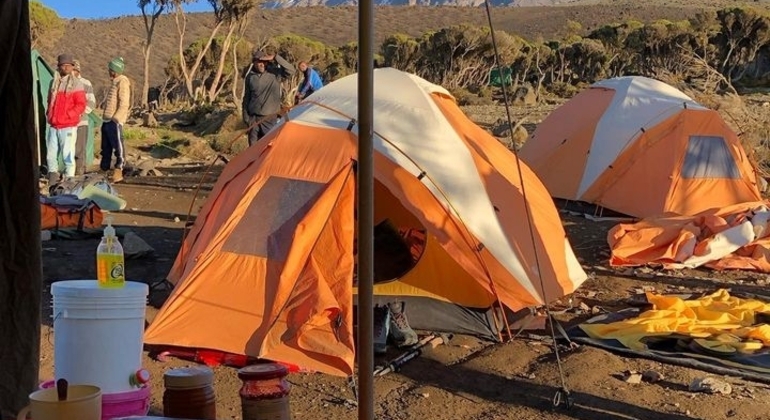 Esperienza Kilimanjaro Percorso Machame 3 giorni Tanzania — #3