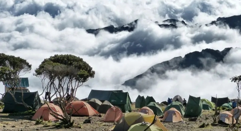 Esperienza Kilimanjaro Percorso Machame 3 giorni Tanzania — #5
