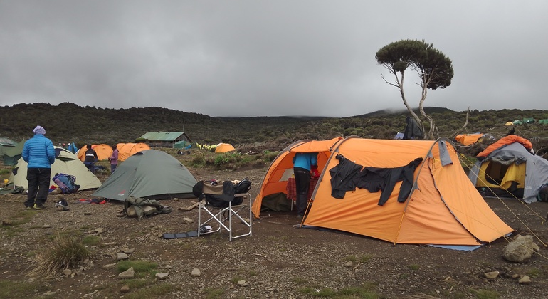 Esperienza Kilimanjaro Percorso Machame 3 giorni Tanzania — #6