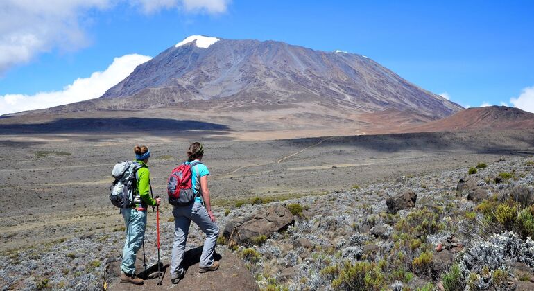 Day Hike Around the Mount Kilimanjaro Provided by World Tours & Safaris Tanzania