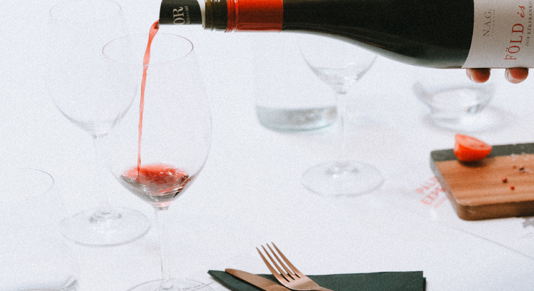 wine-tasting-experience-at-gastro-cellar-es-4