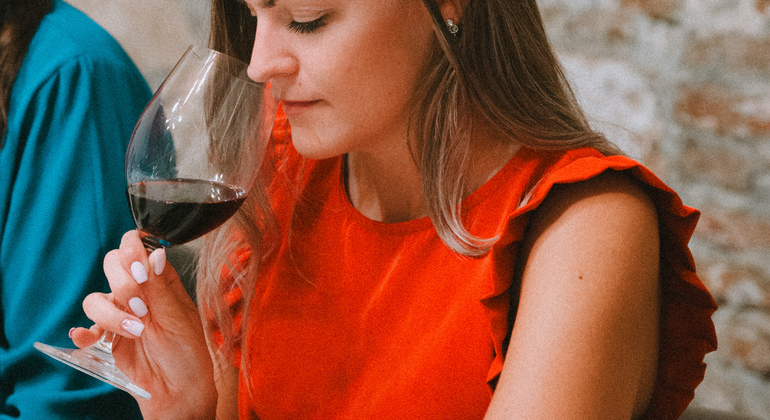 wine-tasting-experience-at-gastro-cellar-es-5