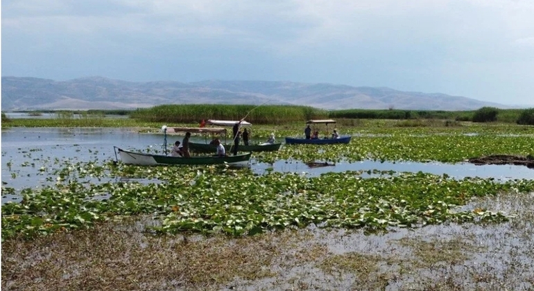 Fauna, aves y paseo en barco por el lago Lotus Turquía &mdash; #2