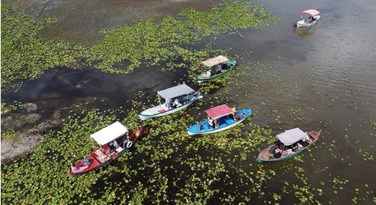 Fauna, aves y paseo en barco por el lago Lotus Turquía &mdash; #7