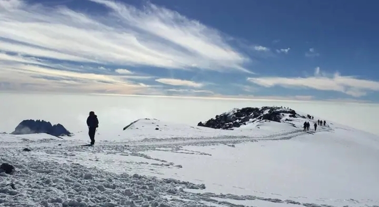 Kilimanjaro Experience Lemosho Route 3 Days Tanzania — #3