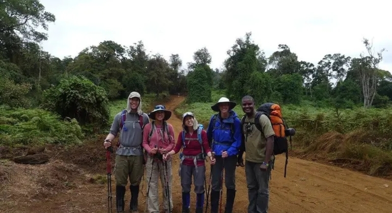 Kilimanjaro Experience Lemosho Route 3 Days Tanzania — #9