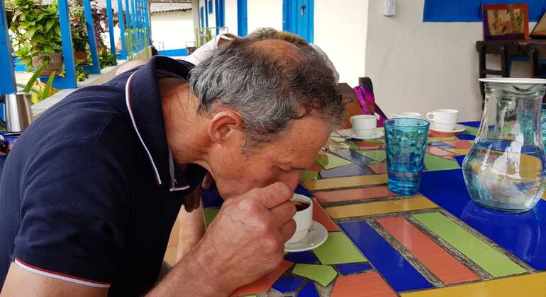Experiência do café perto de Salento - Região do café, Colombia
