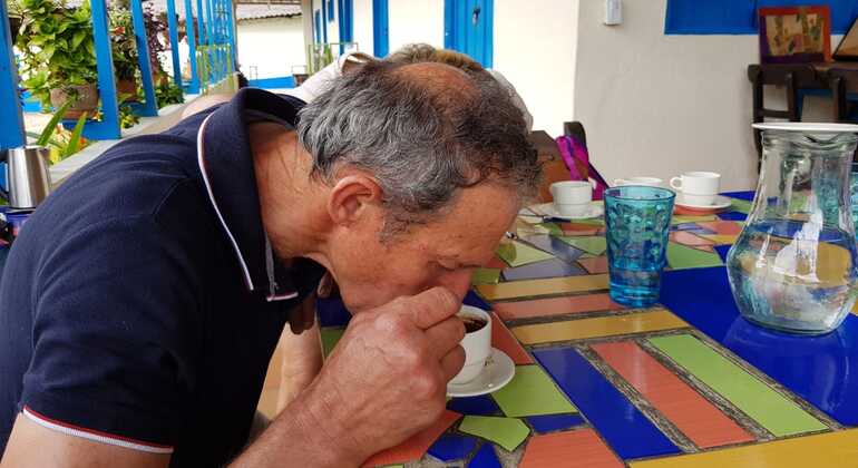 Experiencia cafetera cerca de Salento - Región Cafetera Operado por bogota city bus