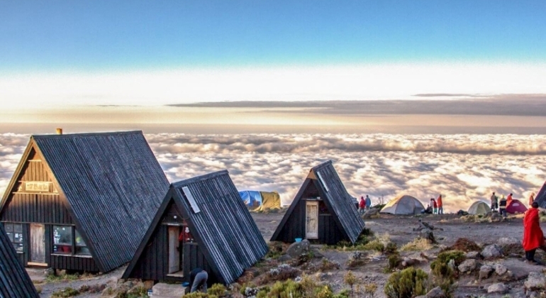 Kilimandjaro Experience Marangu Route 3 jours Tanzanie — #5