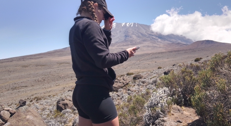 Kilimandjaro Experience Marangu Route 3 jours Tanzanie — #14