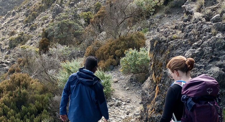 Trekking de 4 días al Monte Meru