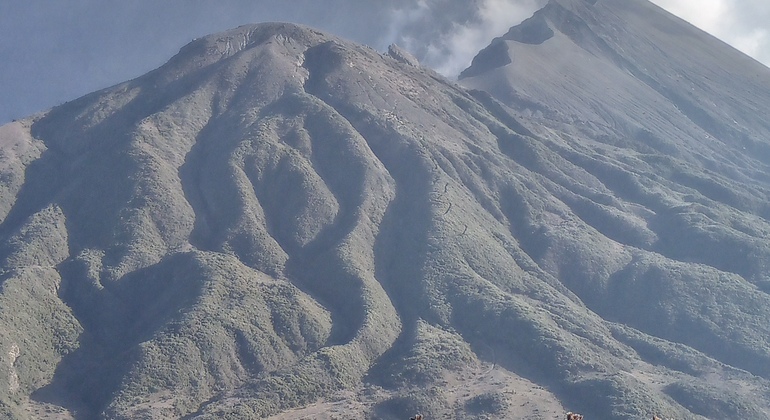 Trekking de 4 días al Monte Meru Tanzania — #5