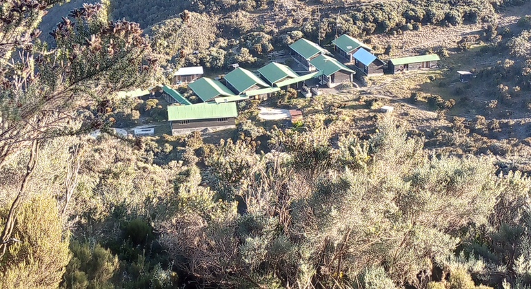 Trekking de 4 días al Monte Meru Tanzania — #6