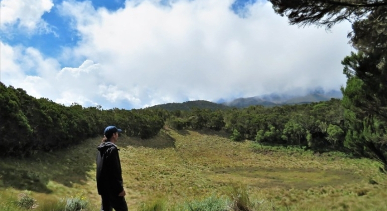 Kilimanjaro Treks Percorso Marangu Viaggio di un giorno Fornito da Foot On Kili Tanzania Adventure