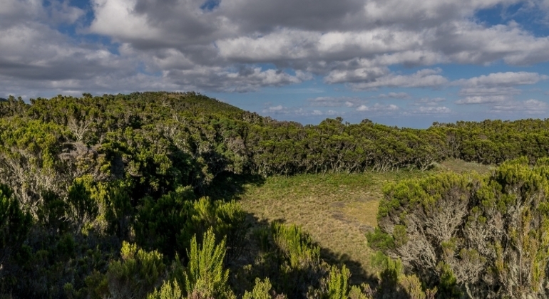 Kilimanjaro Treks Marangu Route Tagesausflug Tansania — #2