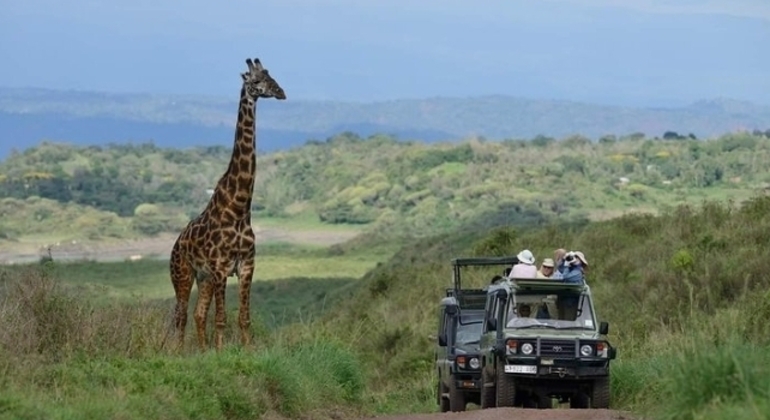 Safari en Tanzanie Excursion d'une journée dans le parc national d'Arusha Tanzanie — #7